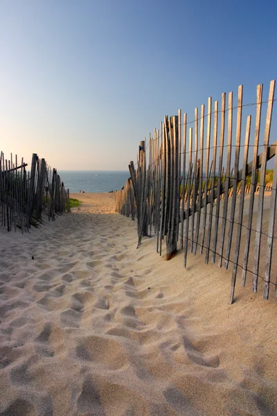 Cape Cod, Massachusetts, Amerikai Egyesült Államok — Stock Fotó