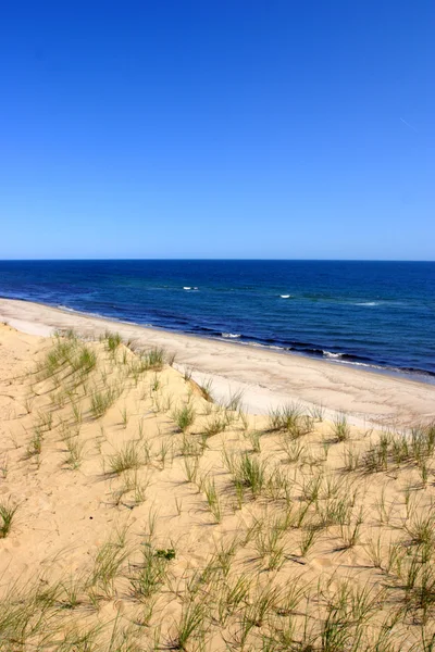 Cape Cod, Massachusetts, Amerikai Egyesült Államok — Stock Fotó