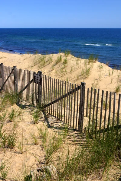 Cape Cod, Massachusetts, Amerikai Egyesült Államok — Stock Fotó