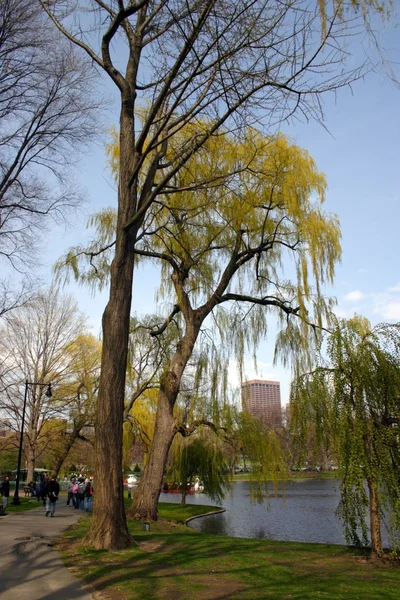 Boston gemeinsamen und öffentlichen Garten, USA — Stockfoto