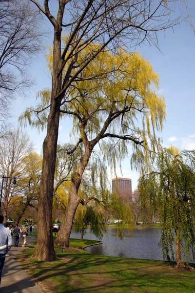 Boston Common and Public Garden, Estados Unidos —  Fotos de Stock