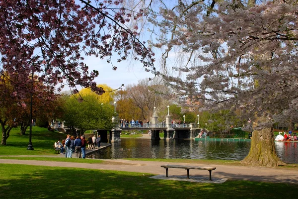 Boston Common and Public Garden, EUA — Fotografia de Stock