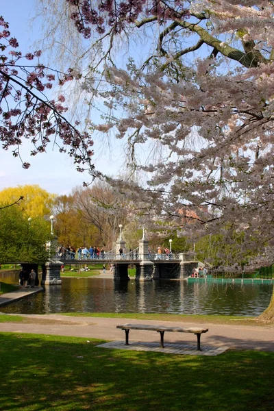 Boston Common and Public Garden, EUA — Fotografia de Stock