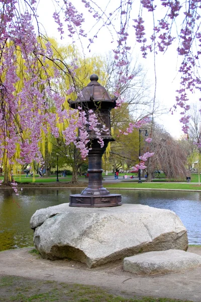 Boston Common and Public Garden, EUA — Fotografia de Stock