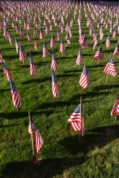 Campo de banderas americanas — Foto de Stock