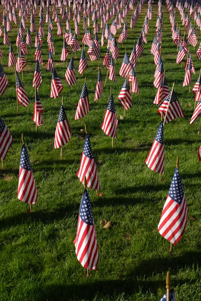Gebied van Amerikaanse vlaggen — Stockfoto
