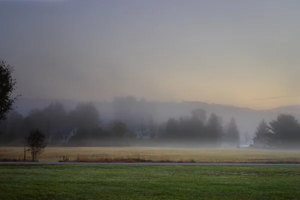 Solljus strimmor genom dimmigt träd på en höst morgon — Stockfoto