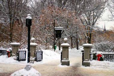 Boston, Massachusetts, ABD 'de kar yağışının stok görüntüsü