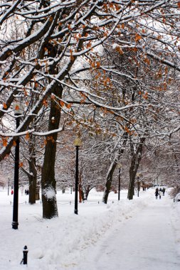 Boston, Massachusetts, ABD 'de kar yağışının stok görüntüsü