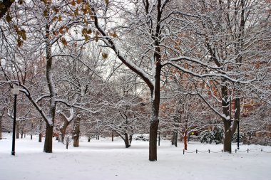 Boston, Massachusetts, ABD 'de kar yağışının stok görüntüsü