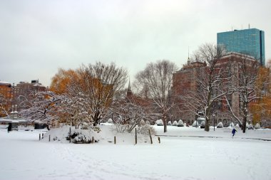 Boston, Massachusetts, ABD 'de kar yağışının stok görüntüsü