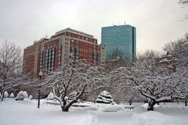 Boston, Massachusetts, ABD 'de kar yağışının stok görüntüsü