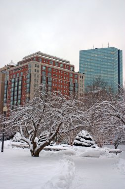 Boston, Massachusetts, ABD 'de kar yağışının stok görüntüsü