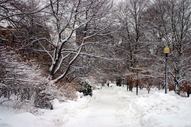 Boston, Massachusetts, ABD 'de kar yağışının stok görüntüsü