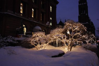 Boston, Massachusetts, ABD 'de kar yağışının stok görüntüsü