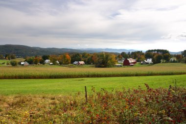 Sonbaharda yapraklar, Vermont, ABD
