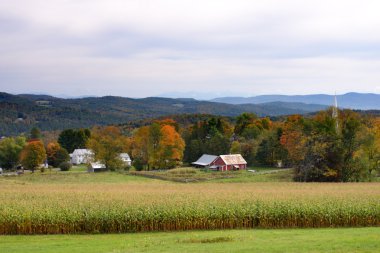 Sonbaharda yapraklar, Vermont, ABD