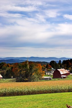 Fall foliage at Vermont, USA clipart