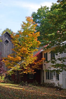 Sonbaharda yapraklar, Vermont, ABD