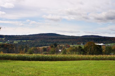 Sonbaharda yapraklar, Vermont, ABD