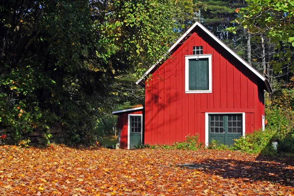 Na podzim listy na Vermont, Usa — Stock fotografie