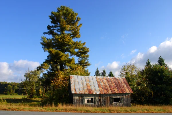 Feuillage d'automne au Vermont, USA — Photo