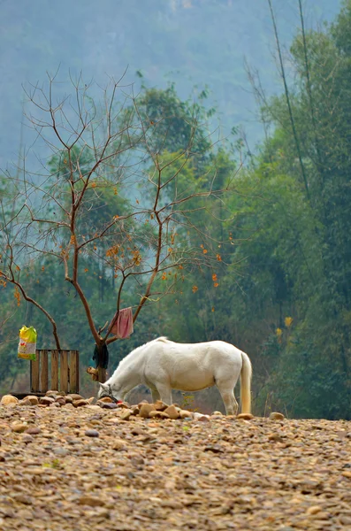 Landscape in Yangshuo Guilin, China — Stock Photo, Image