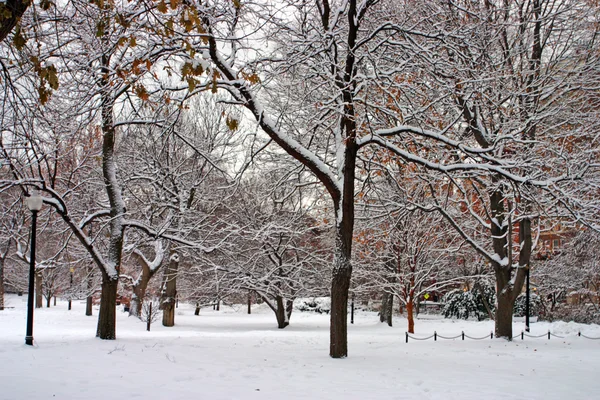 Stock bild av en snöande vinter vid Boston, massachusetts, usa — Stockfoto