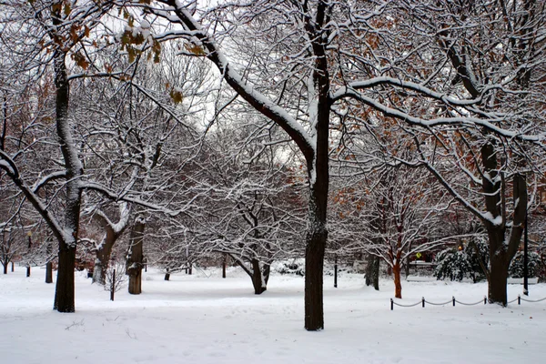 Stock afbeelding van een sneeuw winter in Boston, Massachusetts, Verenigde Staten — Stockfoto