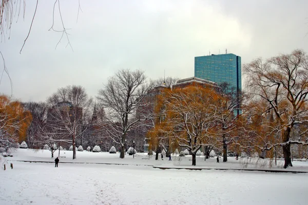 Stock imagen de un invierno nevando en Boston, Massachusetts, EE.UU. — Foto de Stock