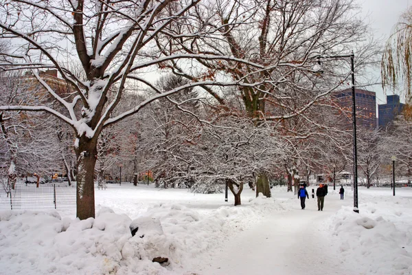 Imagem de estoque de um inverno nevando em Boston, Massachusetts, EUA — Fotografia de Stock