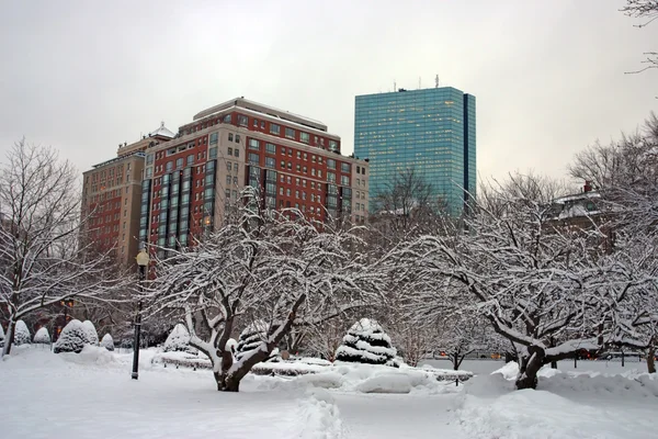 Boston, Massachusetts, ABD 'de kar yağışının stok görüntüsü