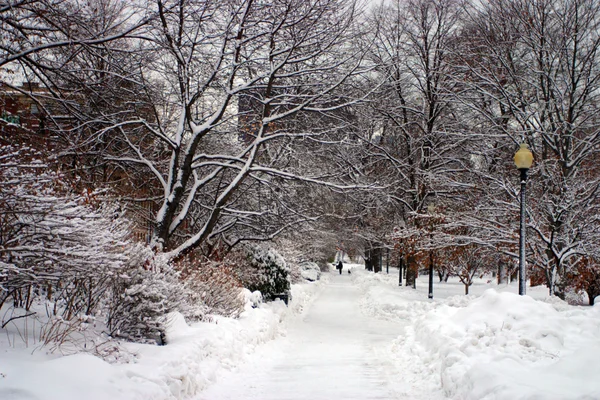 Stock imagen de un invierno nevando en Boston, Massachusetts, EE.UU. — Foto de Stock