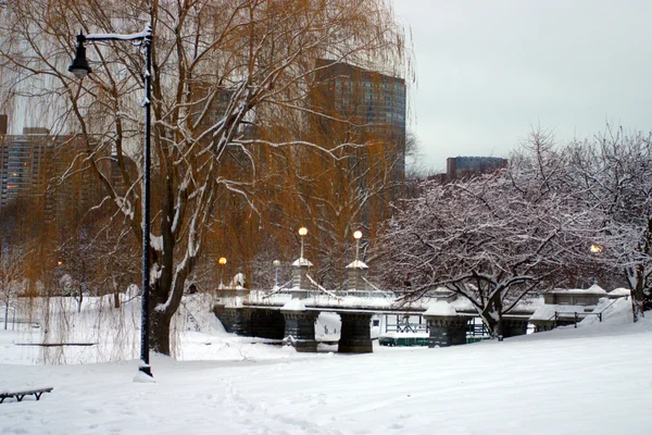 Stock imagen de un invierno nevando en Boston, Massachusetts, EE.UU. —  Fotos de Stock