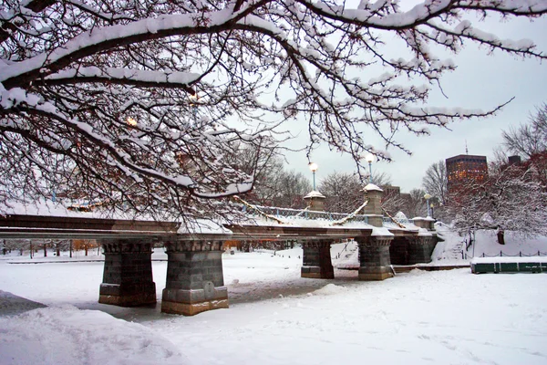 На тлі сніжної зими в Бостоні, масонетті, уса. — стокове фото