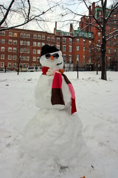 Archivbild eines schneereichen Winters in Boston, massachusetts, USA — Stockfoto