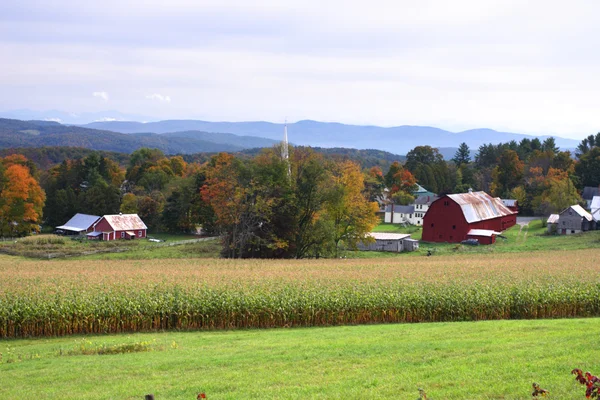 Sonbaharda yapraklar, Vermont, ABD — Stok fotoğraf