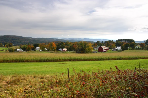 Őszi lombozat, Vermont, Amerikai Egyesült Államok — Stock Fotó