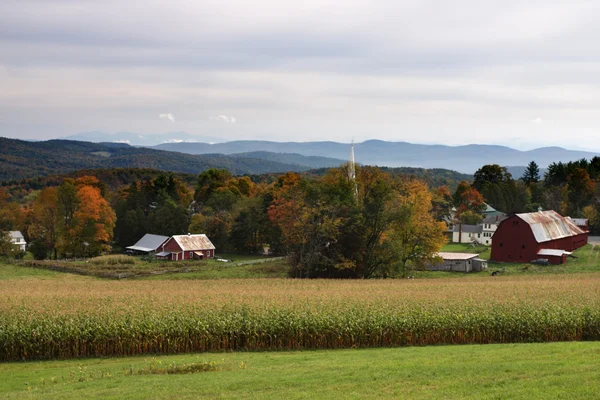 Fall gebladerte in Vermont, Usa — Stockfoto