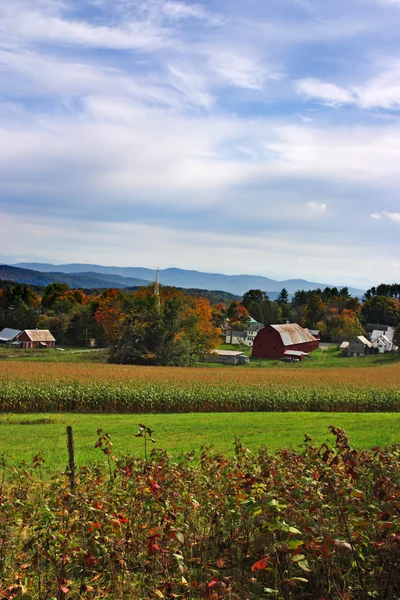 米国バーモント州で秋の紅葉 — ストック写真