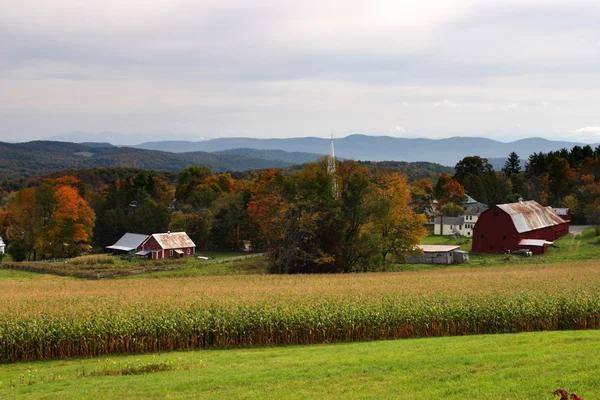 Na podzim listy na Vermont, Usa — Stock fotografie