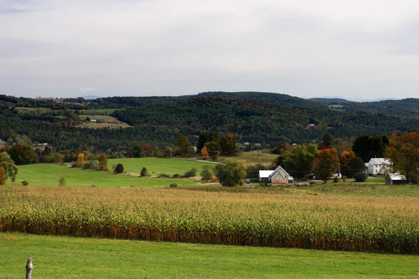 Fall foliage at Vermont, USA — Stock Photo, Image
