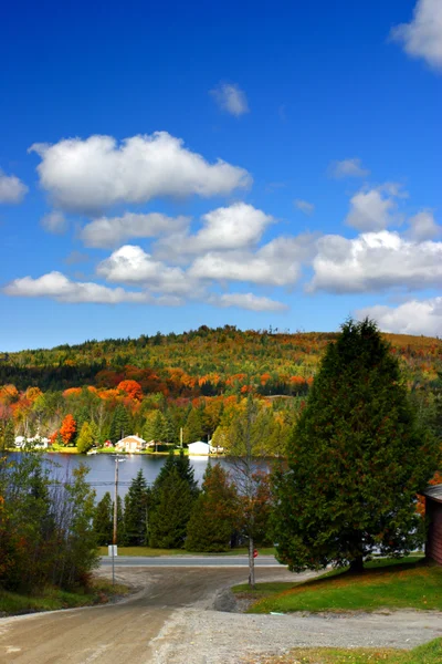 Na podzim listy na Vermont, Usa — Stock fotografie