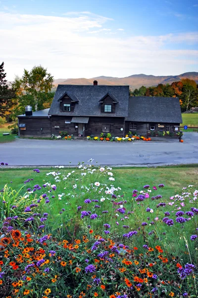 Pień obraz wsi Vermont, Stany Zjednoczone Ameryki — Zdjęcie stockowe