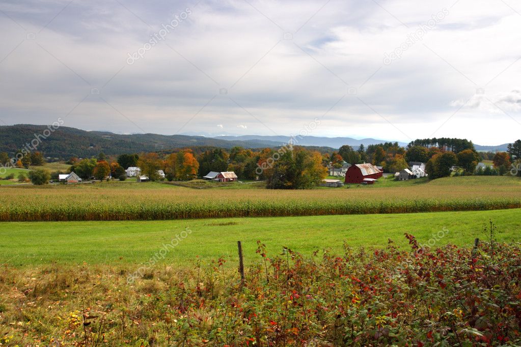 Fall foliage at Vermont, USA