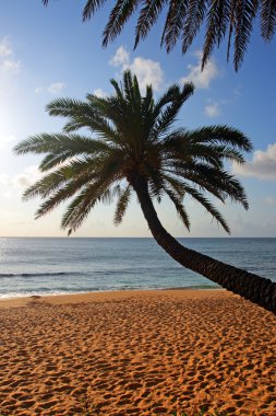O'ahu, Hawaii stok görüntü