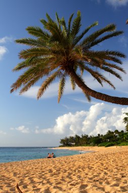 O'ahu, Hawaii stok görüntü