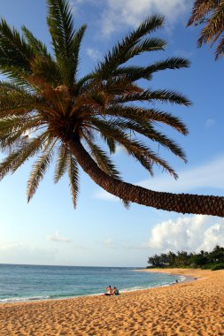O'ahu, Hawaii stok görüntü