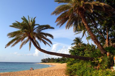 O'ahu, Hawaii stok görüntü