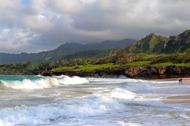 O'ahu, Hawaii stok görüntü